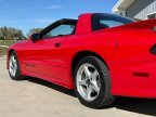 Thumbnail Photo 5 for 1996 Pontiac Firebird Coupe