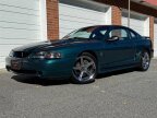 Thumbnail Photo 1 for 1997 Ford Mustang Cobra Coupe