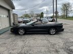 Thumbnail Photo 5 for 1997 Pontiac Firebird Trans Am Convertible