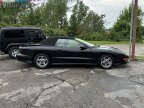 Thumbnail Photo 4 for 1997 Pontiac Firebird Trans Am Convertible