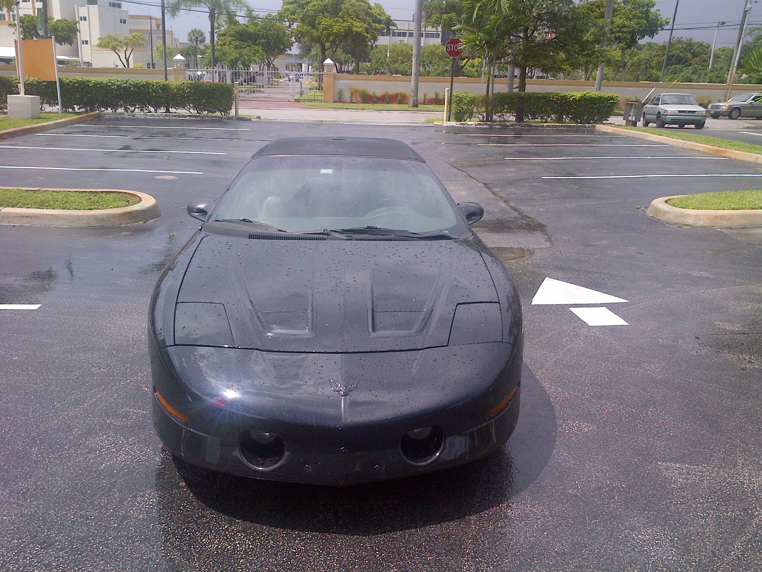 1997 Pontiac Firebird Trans Am Convertible