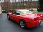 Thumbnail Photo 5 for 1998 Chevrolet Corvette