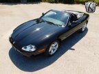 Thumbnail Photo 2 for 1998 Jaguar XK8 Convertible