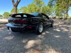 Thumbnail Photo 5 for 1998 Pontiac Firebird