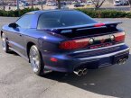 Thumbnail Photo 6 for 1998 Pontiac Firebird