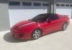 Thumbnail Photo 2 for 1998 Pontiac Firebird Coupe