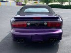 Thumbnail Photo 6 for 1998 Pontiac Firebird