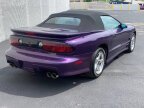 Thumbnail Photo 5 for 1998 Pontiac Firebird