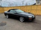 Thumbnail Photo 1 for 1999 Chevrolet Camaro