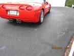 Thumbnail Photo 6 for 1999 Chevrolet Corvette
