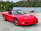 Thumbnail Photo 4 for 1999 Chevrolet Corvette