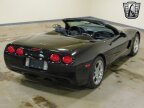 Thumbnail Photo 4 for 1999 Chevrolet Corvette Convertible