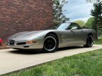 Thumbnail Photo 1 for 1999 Chevrolet Corvette Convertible