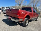 Thumbnail Photo 4 for 1999 Ford F250