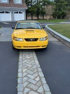 Thumbnail Photo 3 for 1999 Ford Mustang GT Convertible for Sale by Owner