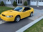 Thumbnail Photo 2 for 1999 Ford Mustang GT Convertible for Sale by Owner