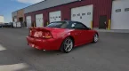 Thumbnail Photo 3 for 1999 Ford Mustang Cobra Convertible