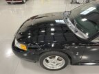 Thumbnail Photo 6 for 1999 Ford Mustang