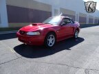 Thumbnail Photo 2 for 1999 Ford Mustang GT