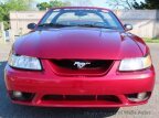 Thumbnail Photo 5 for 1999 Ford Mustang