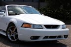 Thumbnail Photo 2 for 1999 Ford Mustang