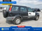 Thumbnail Photo 4 for New 1999 Honda CR-V 2WD LX