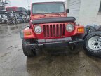 Thumbnail Photo 5 for 1999 Jeep Wrangler