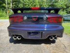 Thumbnail Photo 5 for 1999 Pontiac Firebird