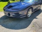 Thumbnail Photo 4 for 1999 Pontiac Firebird