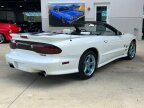 Thumbnail Photo 5 for 1999 Pontiac Firebird