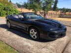 Thumbnail Photo 4 for 1999 Pontiac Firebird