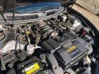 Thumbnail Photo 6 for 1999 Pontiac Firebird