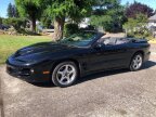 Thumbnail Photo 5 for 1999 Pontiac Firebird