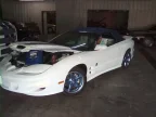 Thumbnail Photo 1 for 1999 Pontiac Firebird Trans Am Convertible