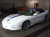 1999 Pontiac Firebird Trans Am Convertible