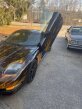 Thumbnail Photo 1 for 2000 Chevrolet Corvette