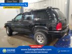 Thumbnail Photo 3 for New 2000 Dodge Durango