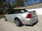 Thumbnail Photo 6 for 2000 Ford Mustang GT Convertible