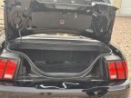 Thumbnail Photo 4 for 2000 Ford Mustang Convertible for Sale by Owner