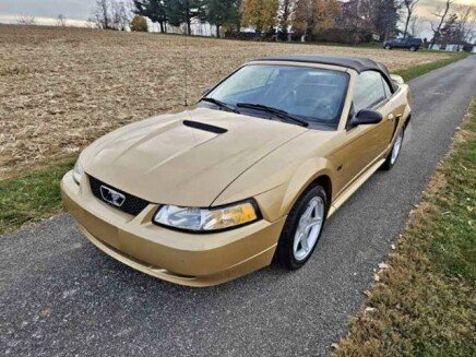 Photo 1 for 2000 Ford Mustang GT