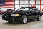 Thumbnail Photo 3 for 2000 Ford Mustang