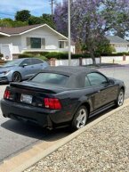 Thumbnail Photo 6 for 2000 Ford Mustang