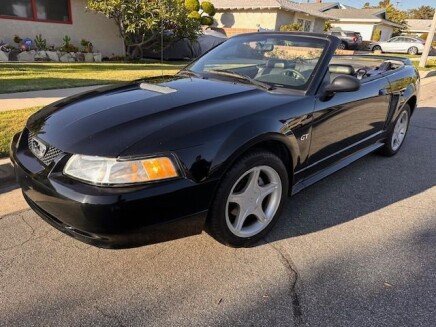 Photo 1 for 2000 Ford Mustang