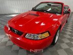 Thumbnail Photo 5 for 2000 Ford Mustang