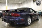 Thumbnail Photo 6 for 2000 Pontiac Firebird Trans Am