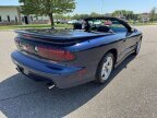 Thumbnail Photo 5 for 2000 Pontiac Firebird Trans Am Convertible
