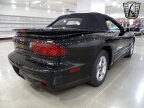 Thumbnail Photo 6 for 2000 Pontiac Firebird Trans Am