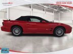 Thumbnail Photo 5 for 2000 Pontiac Firebird