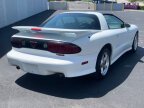 Thumbnail Photo 5 for 2000 Pontiac Firebird