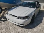Thumbnail Photo 1 for 2001 Ford Mustang Cobra Convertible for Sale by Owner